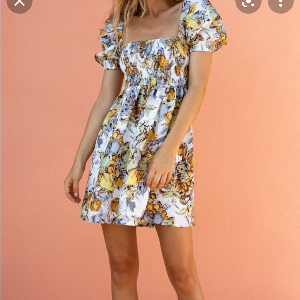 Posse Allegra short sleeve dress in cabana